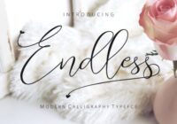 Endless Script Font - Featured Image
