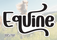 Equine Font - Featured Image