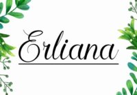 Erliana Font - Featured Image