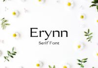 Erynn Font - Featured Image
