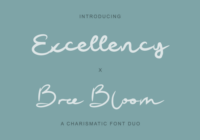 Excellency X Bree Bloom Font - Featured Image
