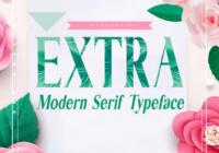 Extra Font - Featured Image