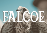 Falcoe Font - Featured Image