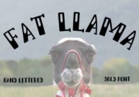 Fat Llama Font - Featured Image