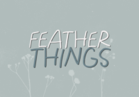 Feather Things Font - Featured Image
