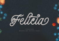 Felicia Font - Featured Image