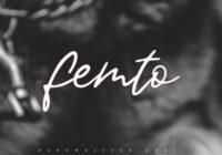 Femto Font - Featured Image