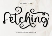 Fetching Font - Featured Image