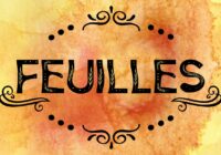 Feuilles Font - Featured Image