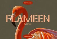 Flameen Font - Featured Image