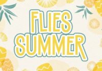 Flies Summer Font - Featured Image