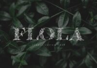 Flola Font - Featured Image