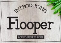 Flooper Font - Featured Image