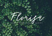 Florisa Font - Featured Image