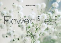Flower Leaf Font - Featured Image