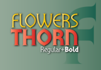 Flowers Thorn Font - Featured Image