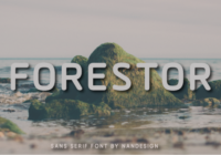 Forestor Font - Featured Image