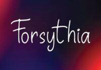 Forsythia Font - Featured Image