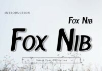 Fox Nib Font - Featured Image