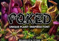 Foxed Font - Featured Image
