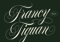 Francy Tiguan Font - Featured Image