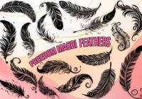 Freedom Maori Feathers Font - Featured Image