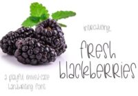 Fresh Blackberries Font - Featured Image