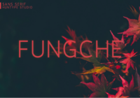 Fungche Font - Featured Image