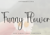 Funny Flower Font - Featured Image