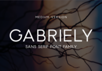 Gabriely Medium Font - Featured Image
