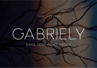 Gabriely Thin Font - Featured Image