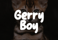 Gerry Boy Font - Featured Image