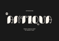 Gf Antiqua Font - Featured Image