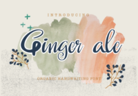 Ginger Ale Font - Featured Image