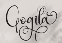 Gogila Font - Featured Image