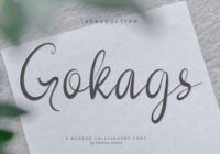 Gokags Script Font - Featured Image