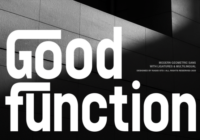 Good Function Font - Featured Image