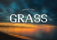 Grass Font - Featured Image