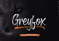 Greyfox Font - Featured Image