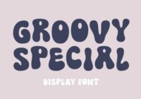 Groovy Special Font - Featured Image