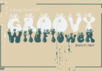 Groovy Wildflower Font - Featured Image