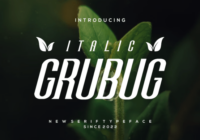 Grubug Font - Featured Image