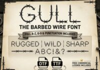 Gull Font - Featured Image