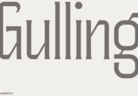 Gulling Font - Featured Image