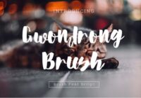 Gwondrong Brush  Font - Featured Image