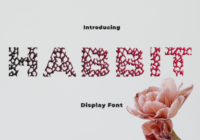 Habbit Font - Featured Image