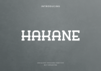 Hakane Font - Featured Image