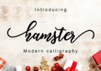 Hamster Script Font - Featured Image