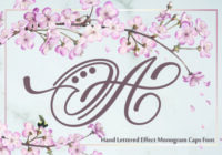 Hand Lettered Effect Monogram Font - Featured Image