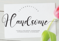 Handsome Font - Featured Image